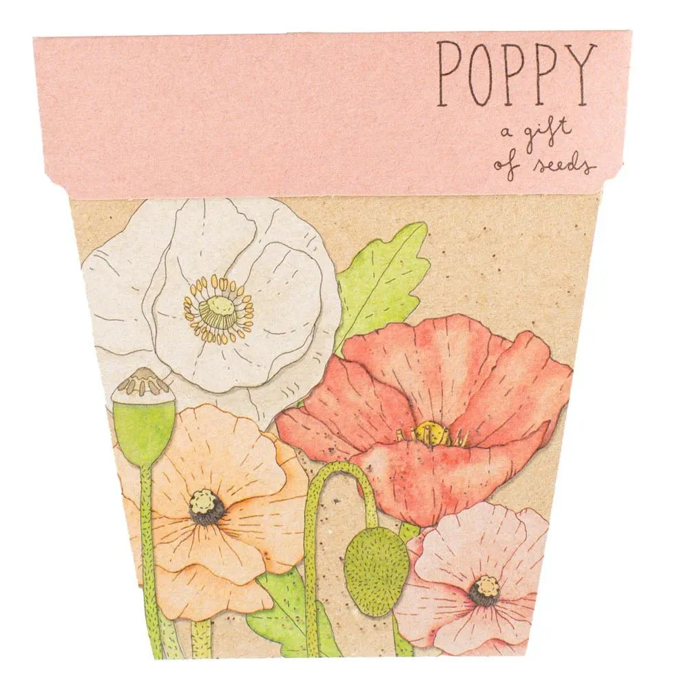 Sow n Sow | Poppy Gift of Seeds