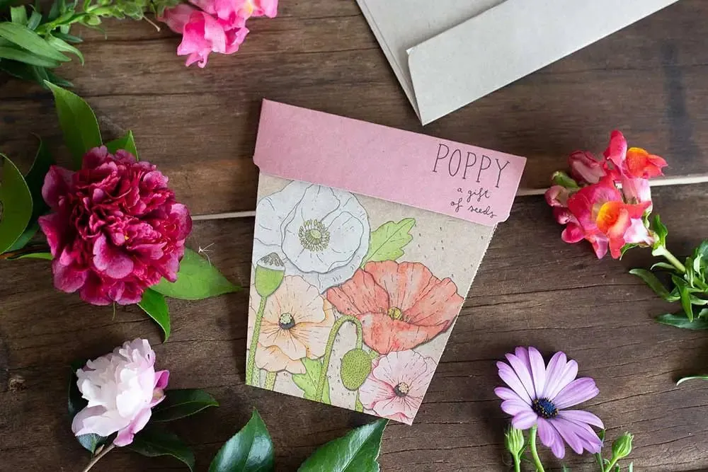 Sow n Sow | Poppy Gift of Seeds